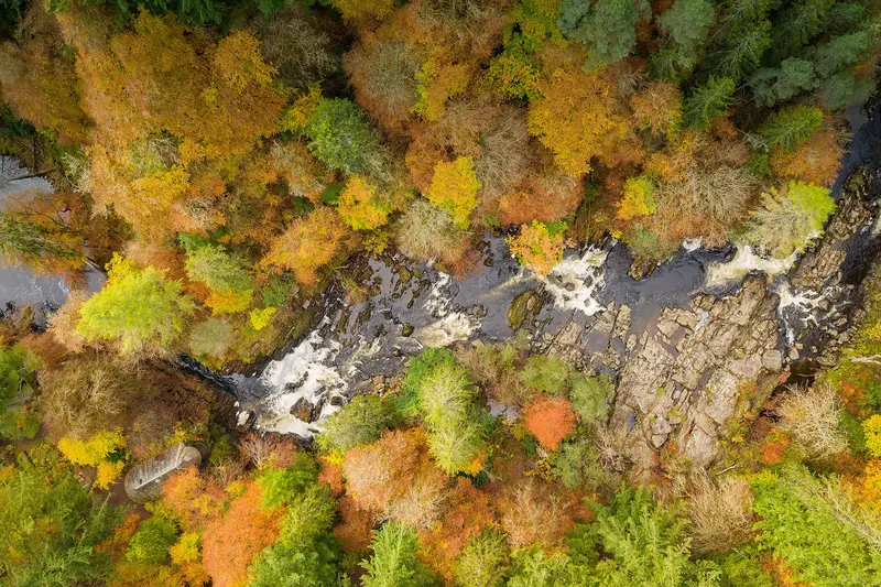 Aerial view of autumn woodland around the rocky gorge of the Black Linn Falls, with Ossian's Hall on the bank